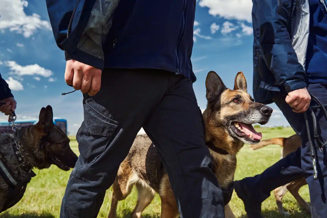 Maîtres-chiens de la Police Municipale